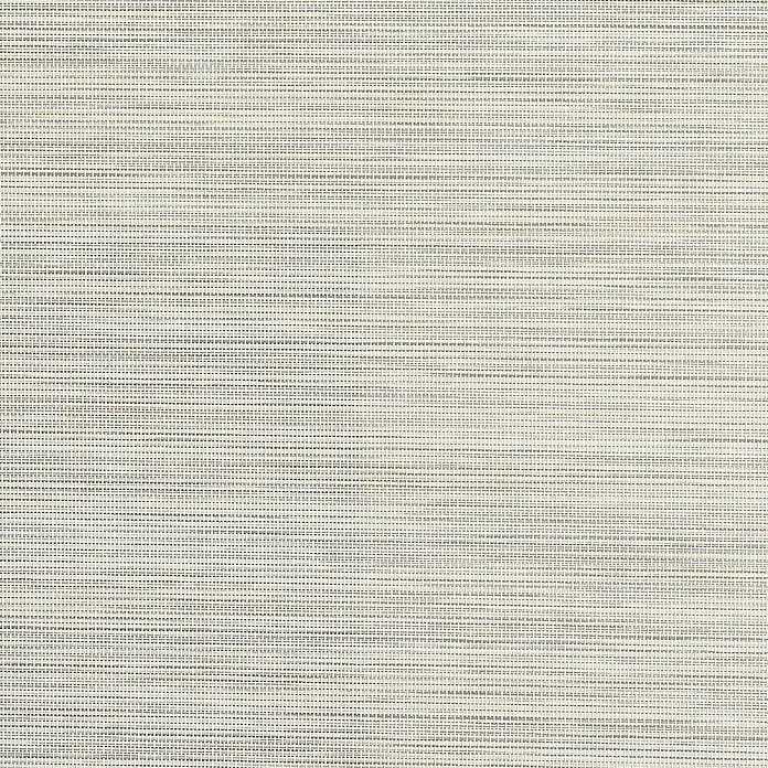 Estor enrollable Roll-up Screen - An x Al: 120 x 250 cm, Gris perla