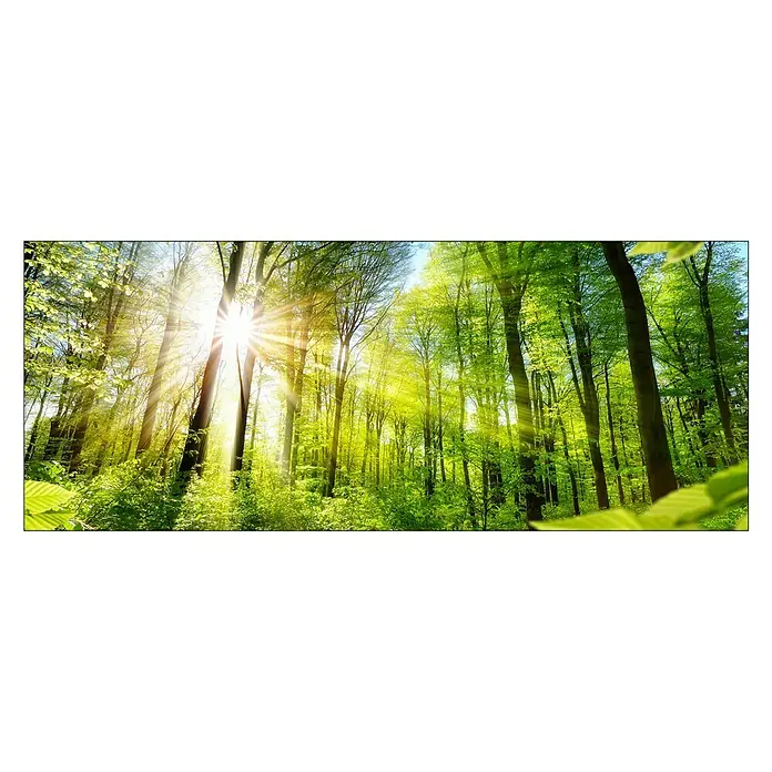 ProArt Glasbild - Towards the Sun, B x H: 125 x 50 cm - Vorderansicht