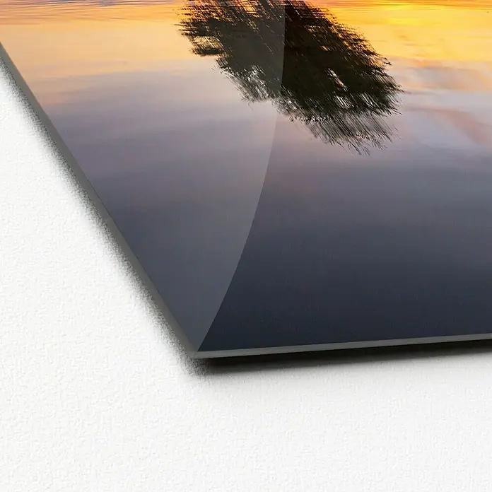 ProArt Glasbild - Lonely Tree, B x H: 30 x 30 cm - Detailaufnahme