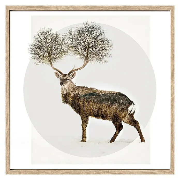 ProArt Bild - Deer with Trees, B x H: 53 x 53 cm - Vorderansicht
