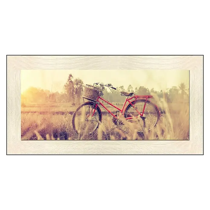 Cuadro - Bicicleta roja, An x Al: 130 x 56 cm