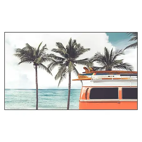 Cuadro de vidrio Palms