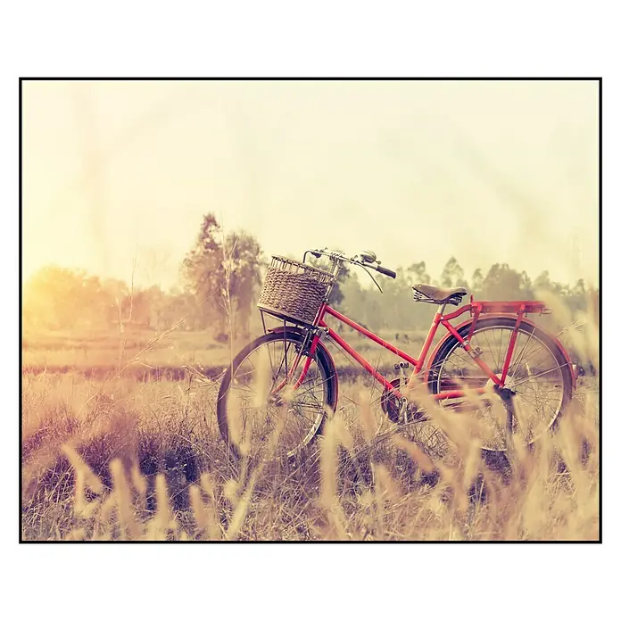 Cuadro de vidrio Red cycle - Bici roja, An x Al: 50 x 40 cm