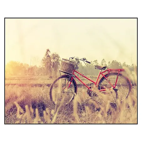 Cuadro de vidrio Red cycle