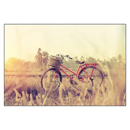 Cuadro Red cycle