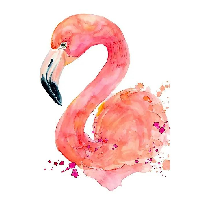 Póster Flamenco - Animales, An x Al: 100 x 140 cm