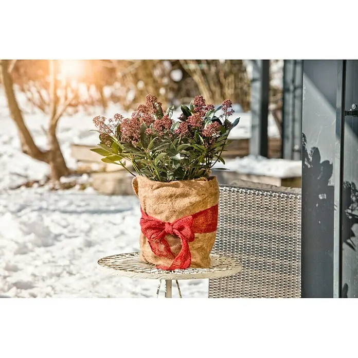 Windhager Jute-Gewebematte Wickelstreifen - L x B: 25 m x 10 cm, Natur