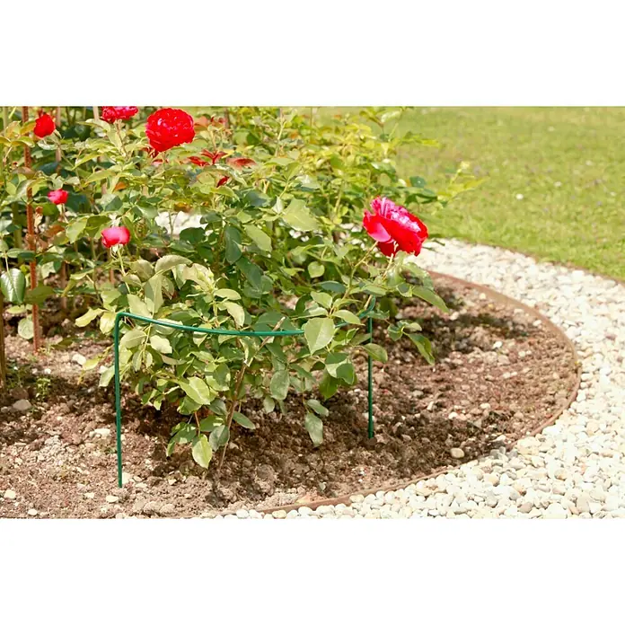 Windhager Staudenstütze fix - B x H: 35 x 40 cm, Rund