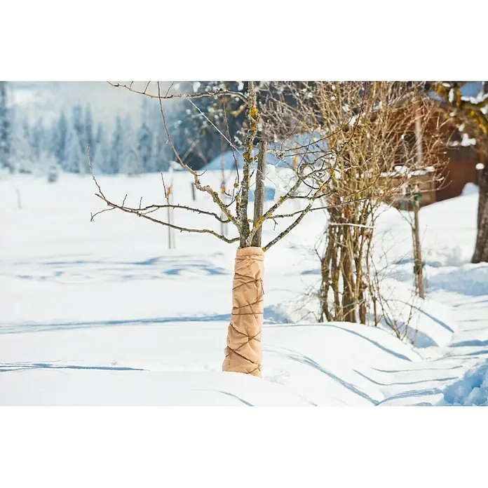 Windhager Winterschutzvlies Superprotect - L x B: 3 x 1,5 m, Beige, Grammatur: 70 g/m²