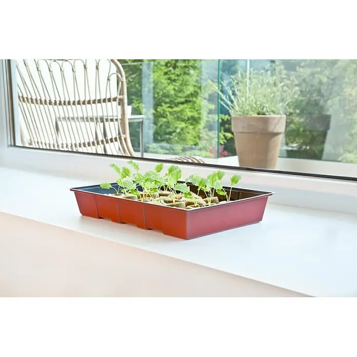 Windhager Zimmergewächshaus Maxi - L x B x H: 35 x 23,5 x 11 cm, Ohne Quelltabletten