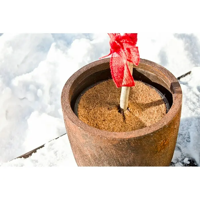 Windhager Kokosmulchscheibe Cocodisc - Durchmesser: 45 cm, Natur