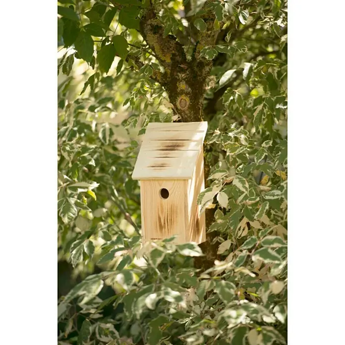 Windhager Nistkasten Family - Geeignet für: Kleiber, L x B x H: 14 x 18 x 33,5 cm, Massivholz, Geflammt