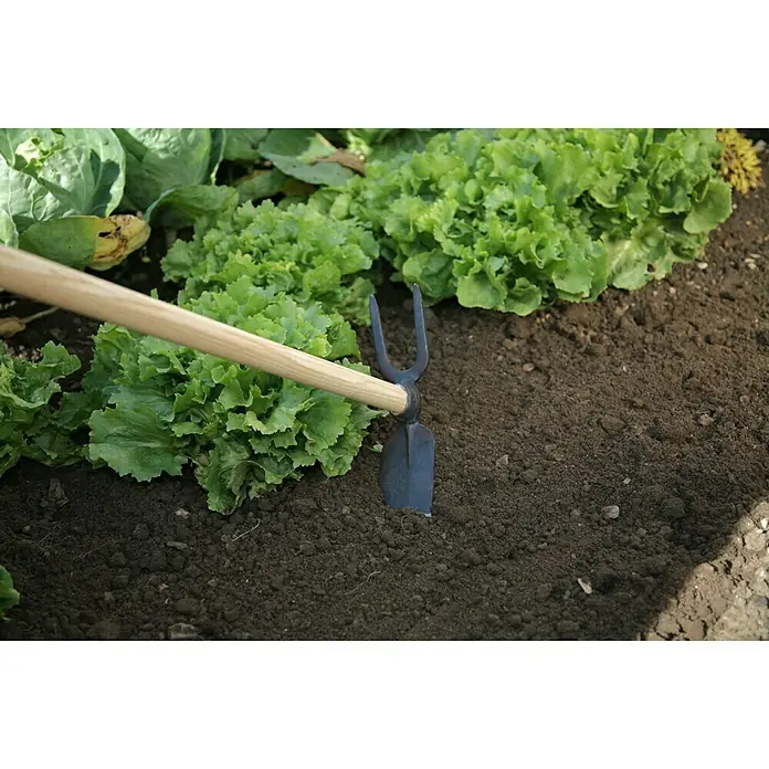 Gardol Gartenhacke - Breite: 70 mm, Anzahl Zinken: 2, Langstiel - Anwendungsbeispiel