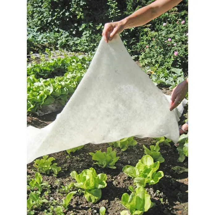 Windhager Kälteschutz Schafwoll-Vliesdecke - L x B: 2 x 1 m, Weiß