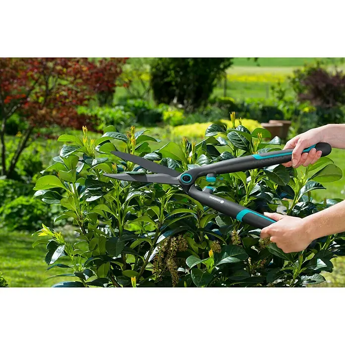 Gardena EasyCut Ručne škare za živicu - Duljina oštrice: 20 cm - Proizvod u upotrebi