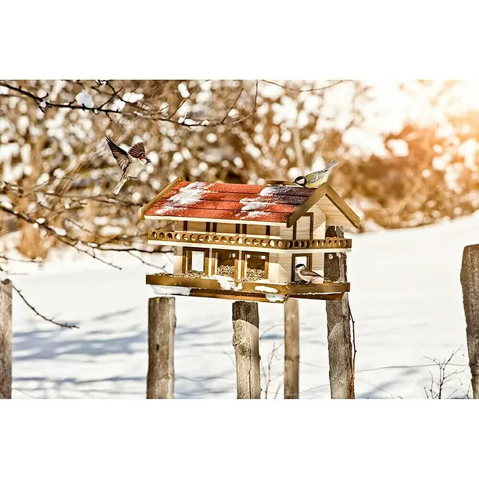Windhager Vogelhaus Landhaus - L x B x H: 38,5 x 38,5 x 58,5 cm, Natur/Braun, Massivholz