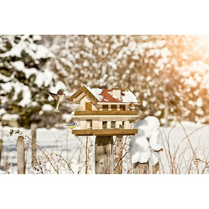 Windhager Vogelhaus Landhaus - L x B x H: 39,5 x 29,5 x 34 cm, Natur/Braun, Massivholz