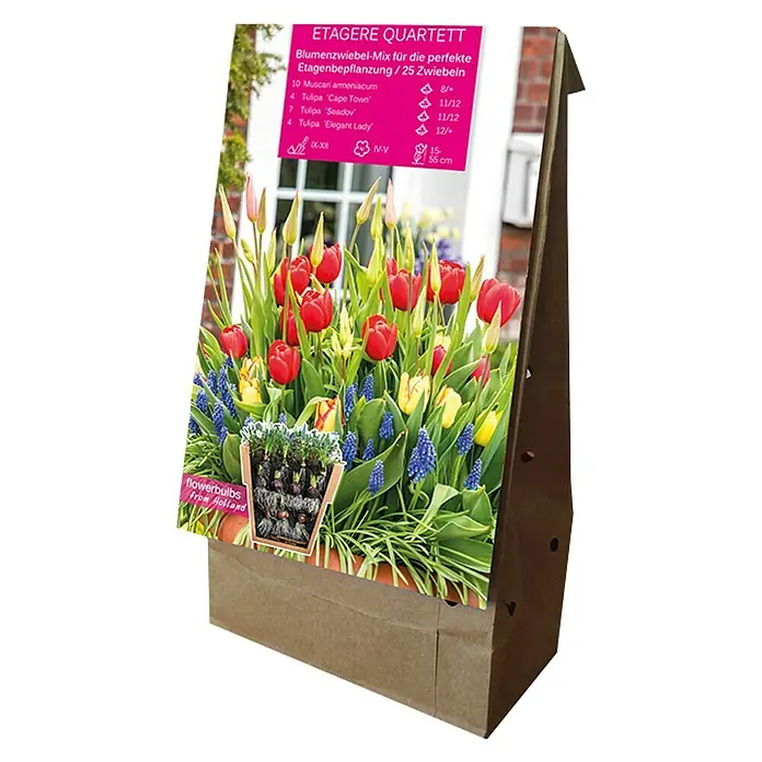 Frühlingsblumenzwiebel-Mix 'Etagere Quartett' - Arten-Mischung, 25 Stk. - Rechte Seitenansicht