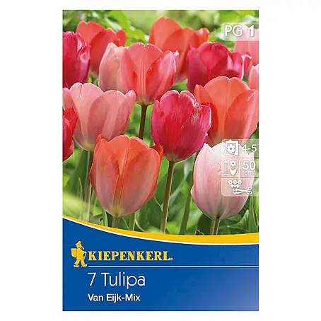 Kiepenkerl  Frühlingsblumenzwiebeln