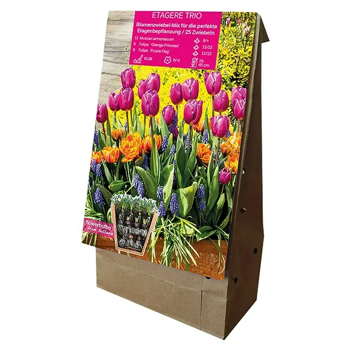 Kiepenkerl Frühlingsblumenzwiebeln Etagere Trio - 25 Stk., Etagere Trio - Rechte Seitenansicht