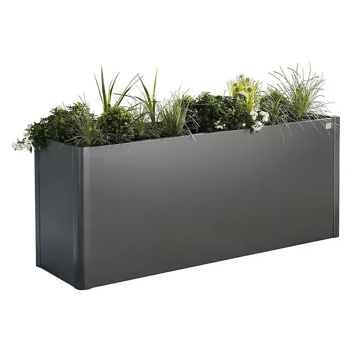 Biohort Huerto Belvedere - L x An x Al: 53 x 201 x 77 cm, Gris oscuro metalizado, Acero - Vista de perfil izquierdo