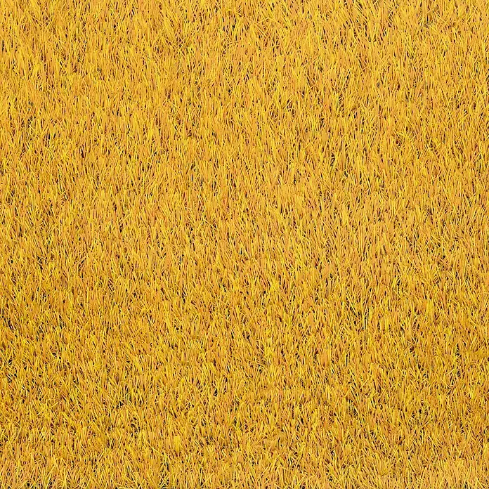 Classis Carpets Infinity Grass Rasenteppich World of Colors - 200 x 133 cm, Sunflower Gold, Ohne Noppen - Detailaufnahme