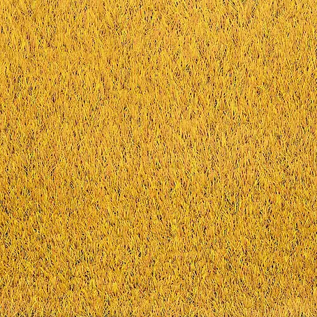 Classis Carpets Infinity Grass Rasenteppich World of Colors