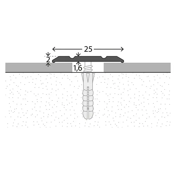 LOGOCLIC Prehodni profil 133 - Srebrne barve, 1 m x 25 mm x 2 mm, Vrsta montaže: Vijaki - Posnetek od blizu