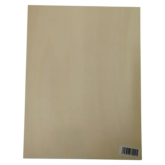 Pebaro Sperrholzplatte - L x B x S: 40 x 30 x 0,3 cm, Holz
