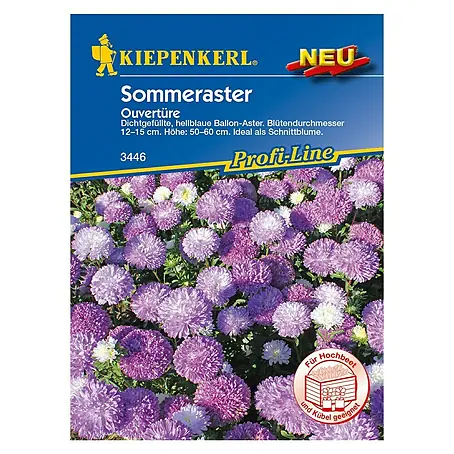 Kiepenkerl  Blumensamen Sommeraster