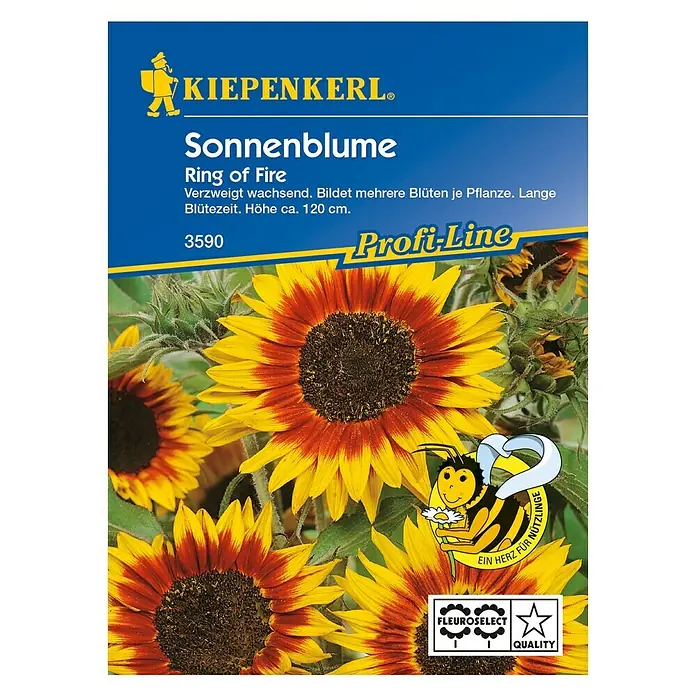 Kiepenkerl Profi-Line Blumensamen Sonnenblume - Helianthus annuus, Ring of Fire, Blütezeit: August - Vorderansicht