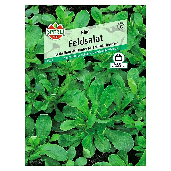Sperli Salatsamen Feldsalat - Elan, Valerianella locusta, Erntezeit: Mai - Vorderansicht