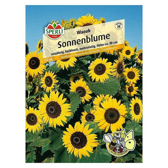 Sperli Blumensamen Sonnenblume - Waooh, Helianthus annuus, Blütezeit: Juli - Vorderansicht