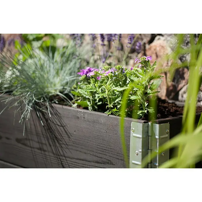 Gardol Visoka gredica - 120 x 80 x 20 cm, Drvo, Crne boje
