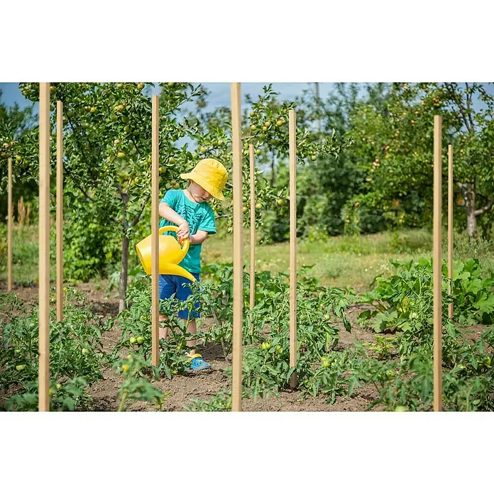 Kiehnholz Pflanzenstab Robinie - 2,5 x 2,5 x 200 cm, Hartholz - Stimmungsaufnahme