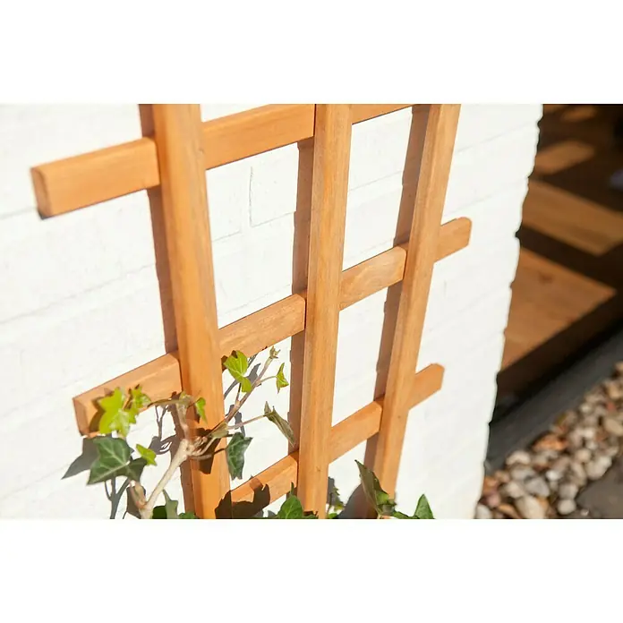 Kiehnholz Rankgitter Aspe - Hellbraun, Höhe: 150 cm - Detailaufnahme