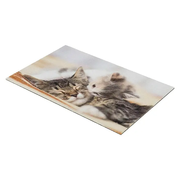 Astra Deco Sauberlaufmatte Print - Kitten, Bunt, 40 x 60 cm, 100 % Polyamid - Rechte Seitenansicht