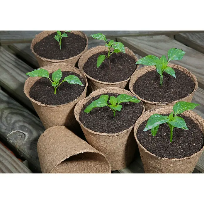 Floraworld Tegla za uzgoj biljaka - Ø x V: 8 x 8 cm, Natur - Proizvod u upotrebi