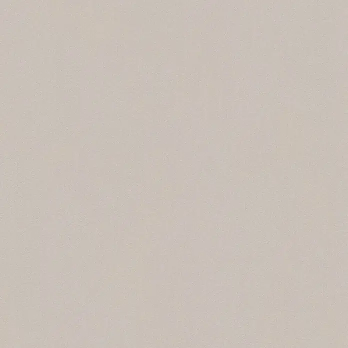 AS Creation Vliestapete - Beige/Braun, Uni, 10,05 x 0,53 m - Detailaufnahme