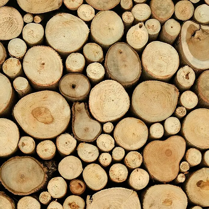 AS Creation Designpanel pop.up - Holz, Braun/Beige, 35 cm x 2,5 m - Detailaufnahme