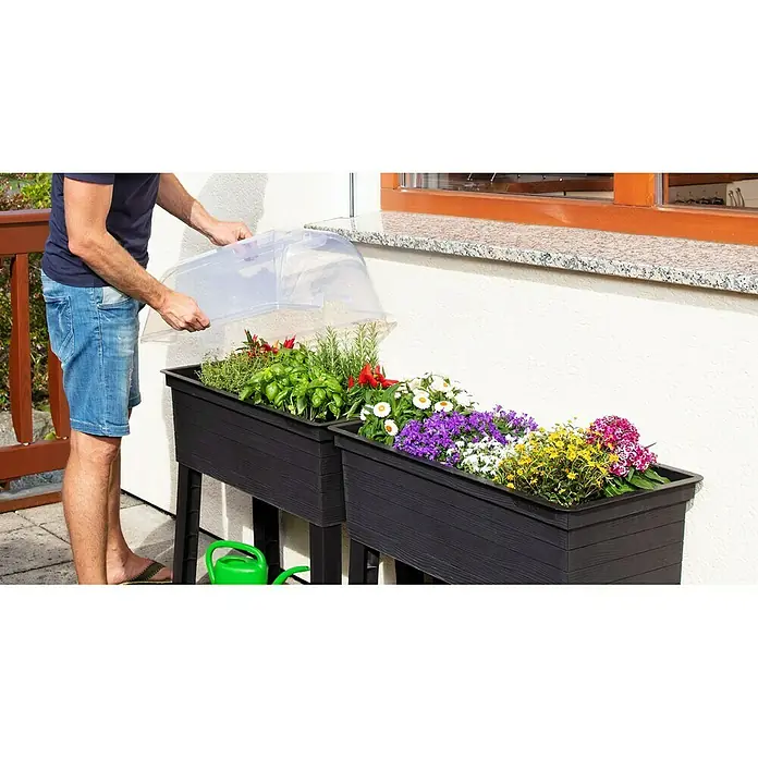 Garantia Urban Anzuchthaube - 75 x 37 x 22 cm, Passend für: Garantia Urban Hochbeet - Anwendungsbeispiel