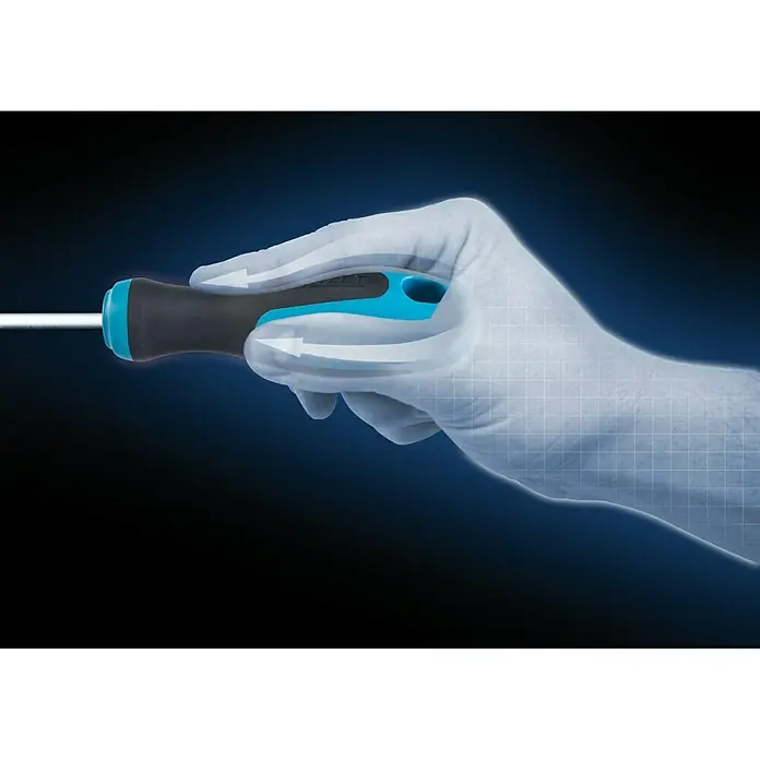 Hazet Schraubendreher-Satz 810T/6 - 6 -tlg., Geeignet für: TORX®-Schrauben - Detailaufnahme