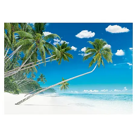 Póster Plage palmiers