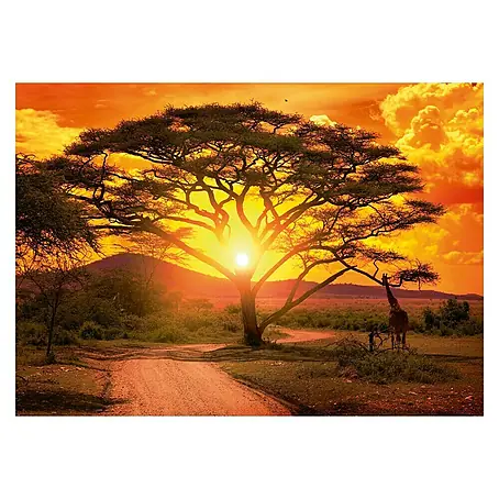 Póster Sunset Savanna