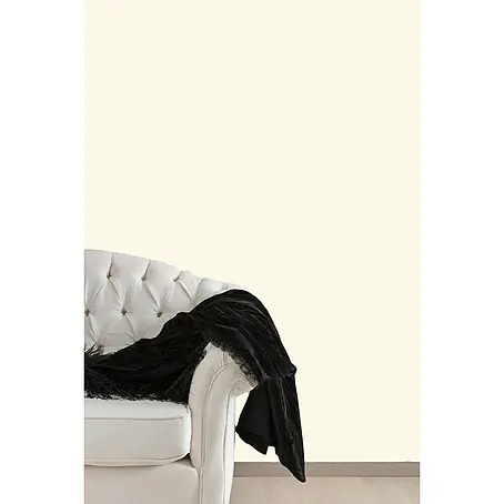 Papel pintado Liso Brillo