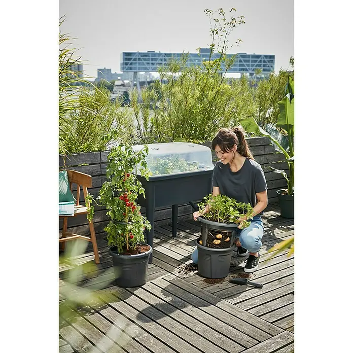 Elho Green Basics Anzuchthaube Super XXL - 74,8 x 56,6 x 22,3 cm