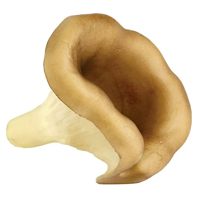 Figura decorativa Níscalo - L x An x Al: 10 x 10 x 10 cm, Plástico