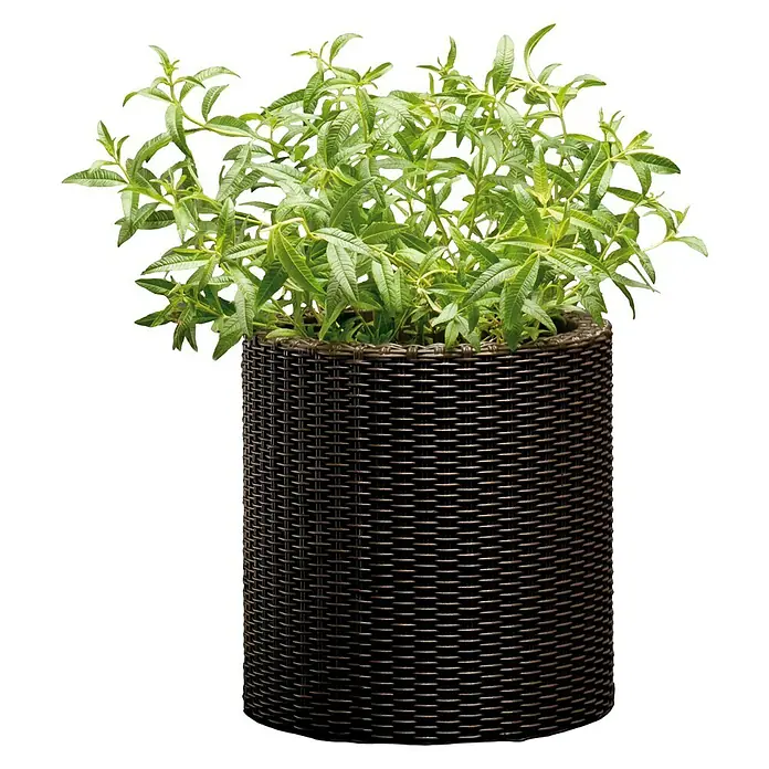 Keter Maceta para planta Samui - Dimensiones externas (Ø x Al): 28 x 28 cm, Plástico, Marrón