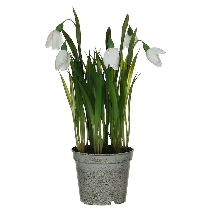 Planta artificial Campanilla Kira - Altura: 24 cm, Blanca, Plástico