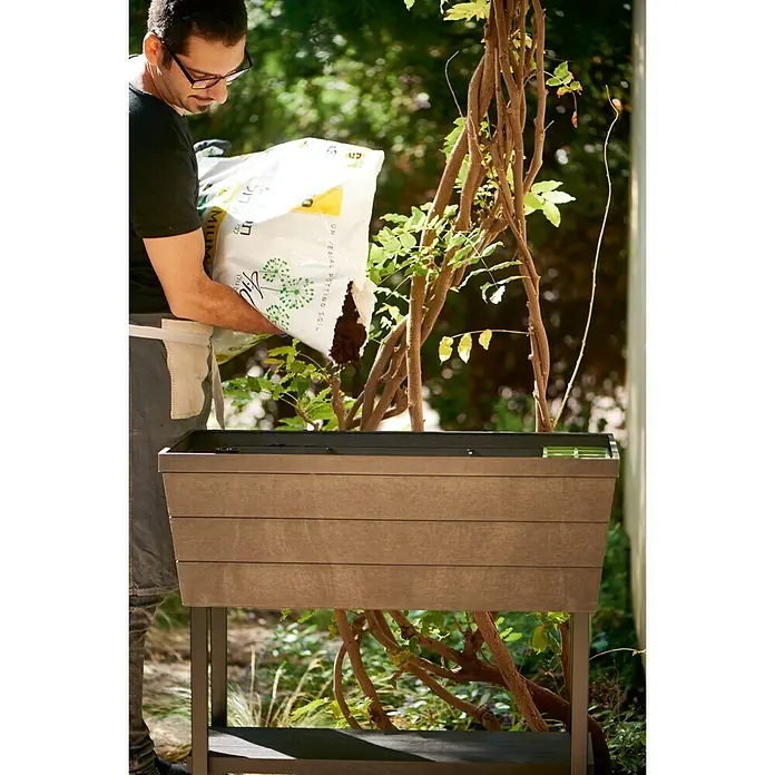 Keter Visoka gredica elevado Bloomer - D x Š x V: 82 x 37,3 x 78 cm, Plastika